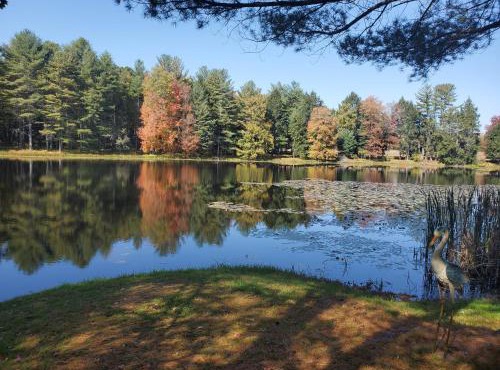 Paper Mill Pines Bed and Breakfast