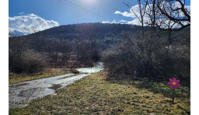 Pappa's Pasta has no Pasta