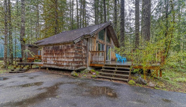 Pappy's Cabin
