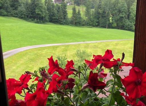 Paradies für Gäste mit Parkplatz und Frühstuck