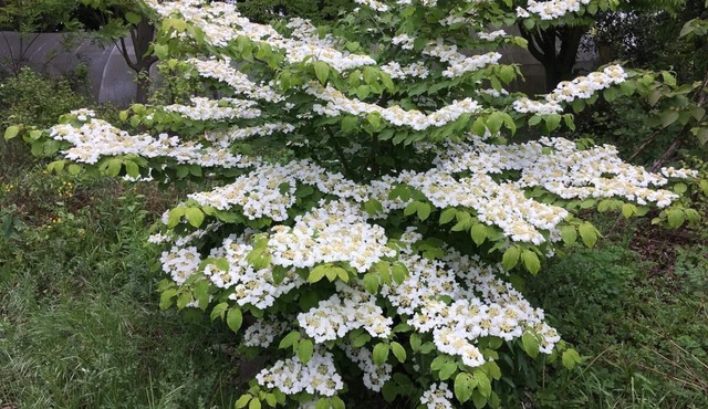 Paradis la Provence entre Vienne et Lyon
