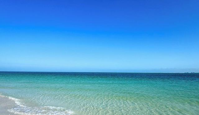 Paradise Awaits! Pristine Condo+Resort Amenities. 1 BR w/New Sleeper Sofa.