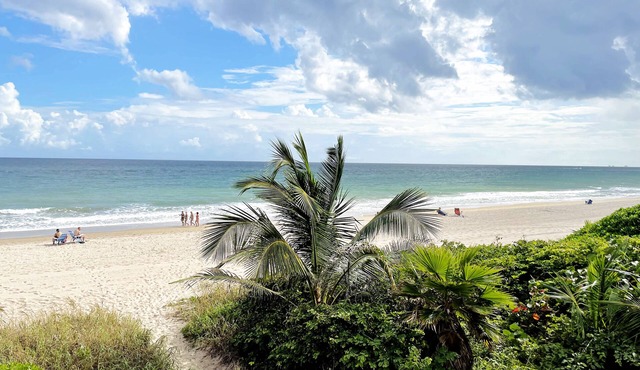 Paradise awaits you with Ocean View & Heated Pool!