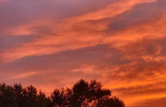 Paradise Bay Entire Home