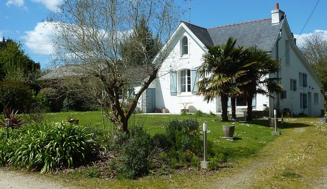 Paradise by the beach