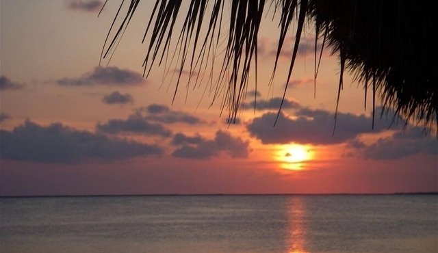 Paradise for Rent (Condo and Private Boat Slip) monthly discount for sept & oct