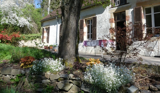 Paradise in a green setting