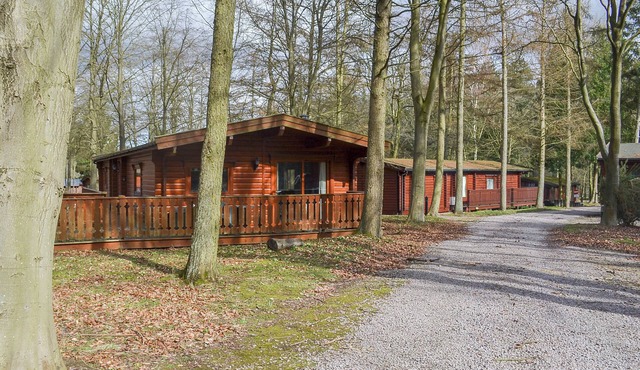 Paradise Lodge-UK31996