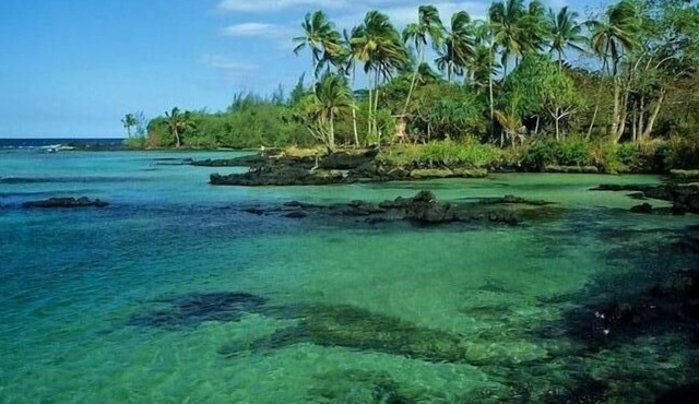 Paradise On a Budget!