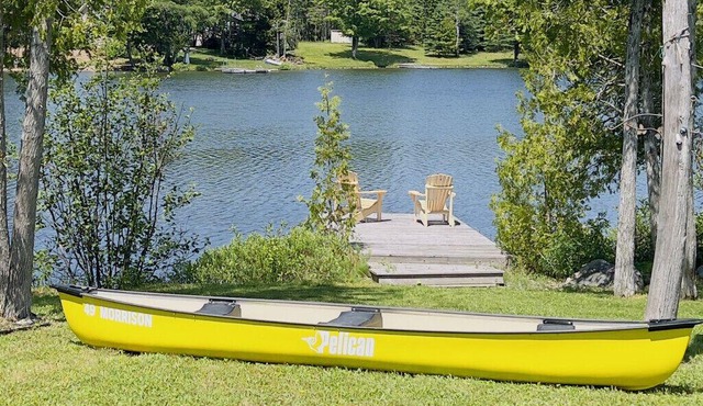 Paradise on Douglas Lake (B)