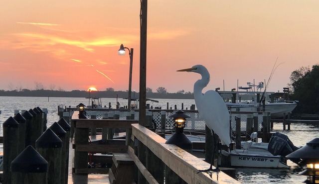 Paradise on LGI! Golf Cart, Pool & Private Beach along with free parking & ferry