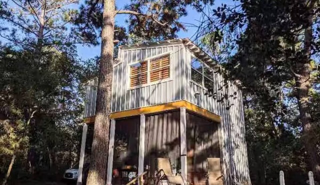 Paradise Pines