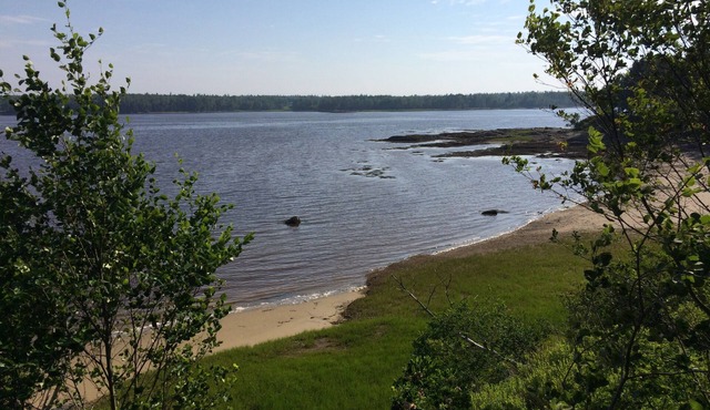 Paradise! Share our private peninsula & beach, vacation or year-round