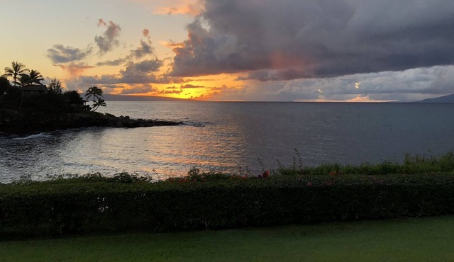 Paradise with ocean view B42