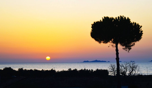 Paradisu Natura bord de plage vue mer