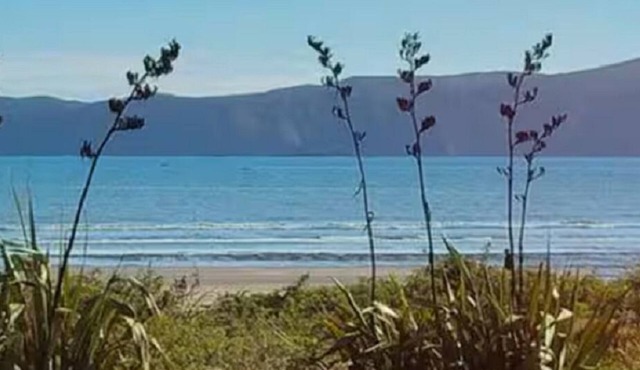 Paraparaumu Beach Hideaway