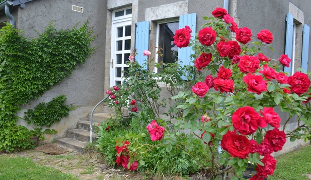 Parc Naturel Régional du Morvan. Meublé tourisme La JOTINE. 3 étoiles