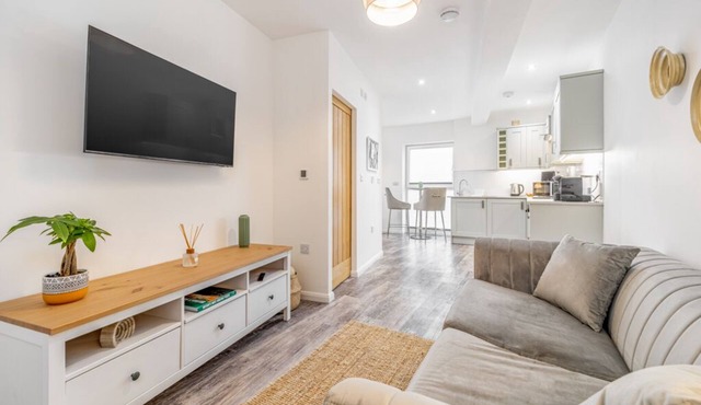 Paris inspired deluxe apartment.