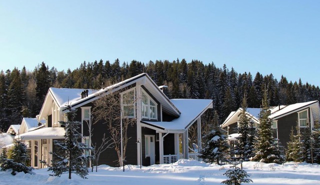 Park-Hotel Dacha Wintera