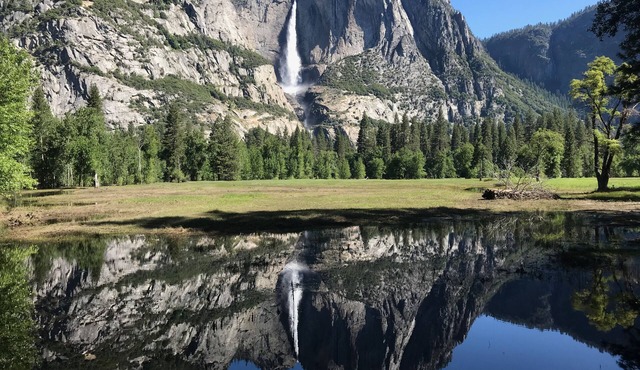 Park Rangers' hilltop cabin near Yosemite - 3+ night discount