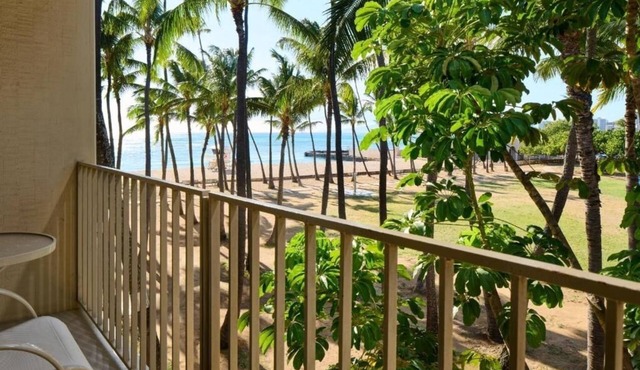 Park View King | Kaimana Beach Hotel | Views of Lush Kapiolani Park