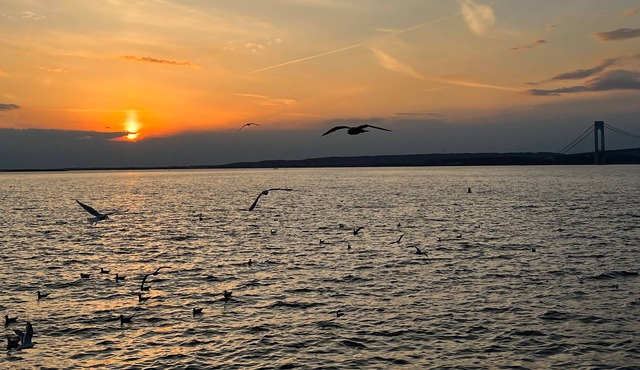 Park View Lovely NYC Townhouse, 5 min from Seashore