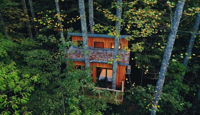 Parke's Stand- Treehouse