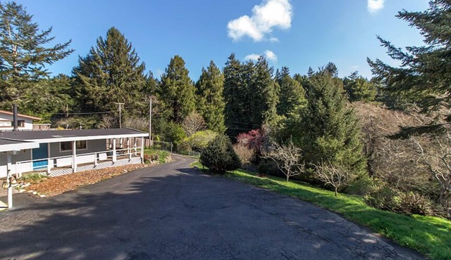 Parker Creek Cabin - Dog & Beachcomber's Paradise! (One Dog Ok)