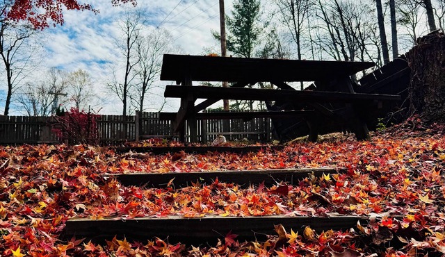 Parkview Lodge & Cabins