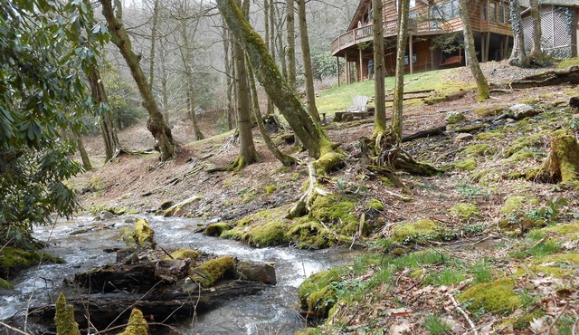 Parkway Creek - Creekside - Game Room - Sleeps 14 - Private - ATV Riding - Wifi