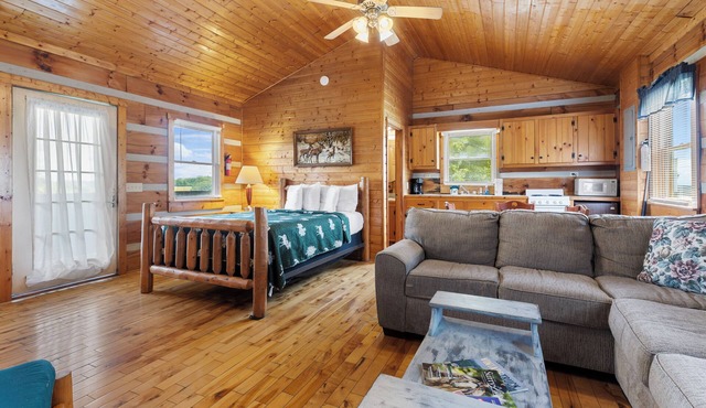 Parkway Lodge with Jacuzzi and Mountain Views! Cabin 11
