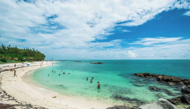 Parrot Perch by Avantstay Old Town Key West w/Shared Pool Month-long Stays Only