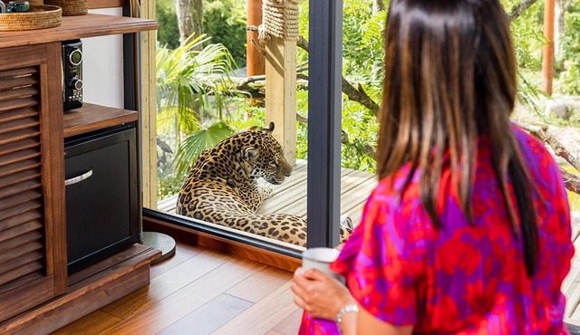 Parrot World - Les Lodges