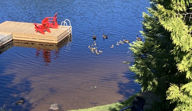 Parry sound beachfront cottage on lake Manitou