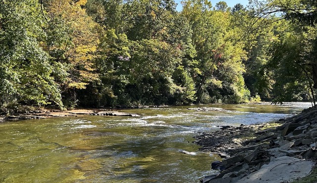 Parsons Riverside Retreat: Steps away from a rolling mountain stream and trails
