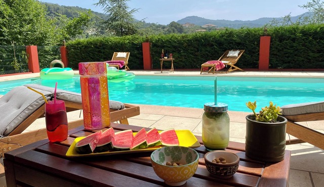 Part of Provencal villa with swimming pool 15min from Nice 6 pers. animals accepted