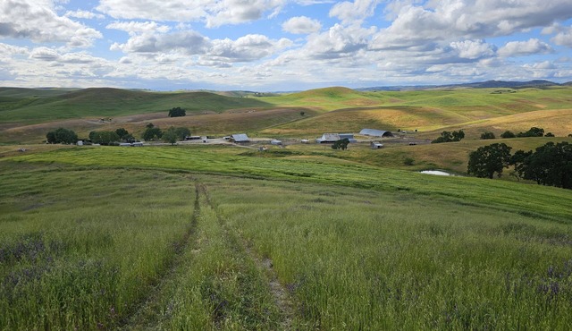 Paso Robles Ultimate Farm Stay! Country Oasis! Very Unique!