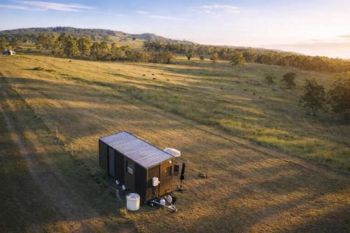 Pasture and Paws by Tiny Away