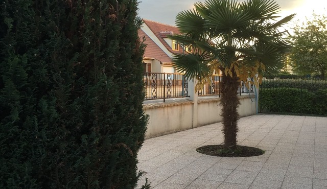 Pat & Co Studio, very close to Disneyland Paris