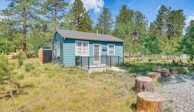 Patio & Hot Tub: Cozy Cabin Retreat in Bailey!
