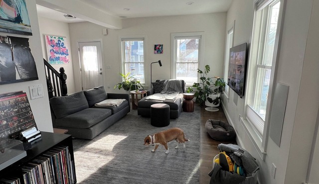 Patio House Somerville