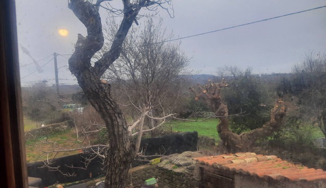 Pause au vert: a simple, authentic country house