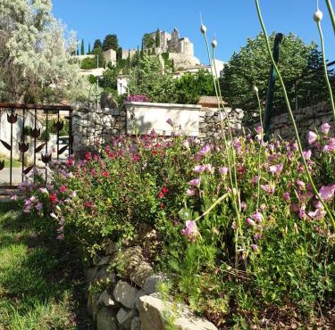 Pause couleur Lavandula