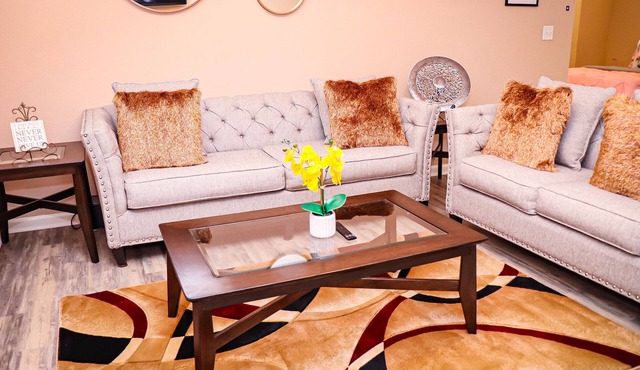 Paying pet friendly Luxury apartment with pool and gym