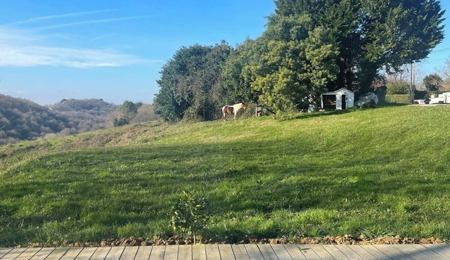 Pays Basque: Family home with large garden, close to mountains and ocean!