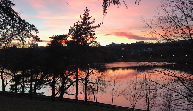 Peace and comfort in the heart of Lyon