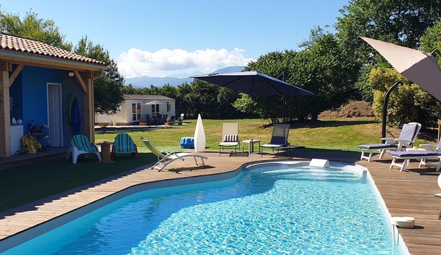 Peace and green charm