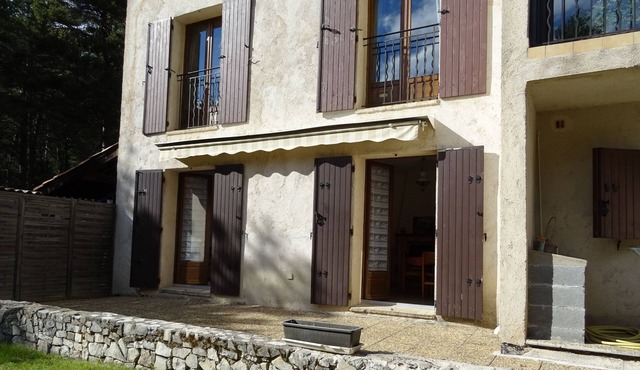 Peace and greenery in the heart of the forest