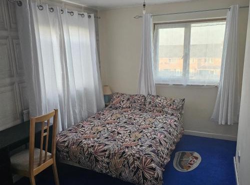 Peace and Love House