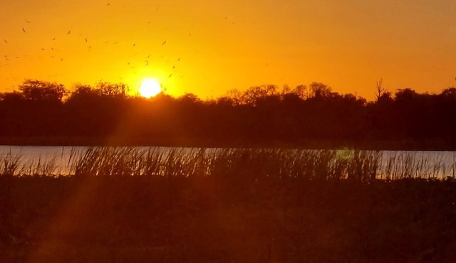 Peace and Plenty Private Oasis on Lake Josephine